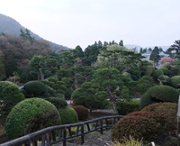 Onshi-Hakone-Koen Park