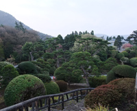 箱根恩賜公園の写真